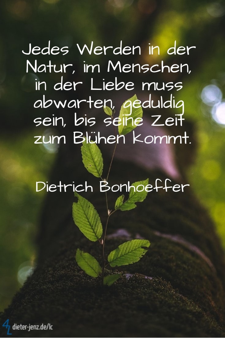 Jedes Werden in der Natur, D. Bonhoeffer - Gestaltung: privat