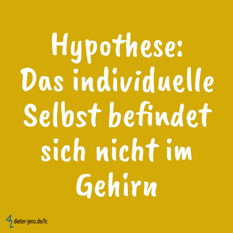 Hypothese Das Individuelle Selbst nicht im Gehirn - Gestaltung: privat